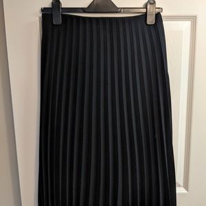 Everlane Pleated Skirt